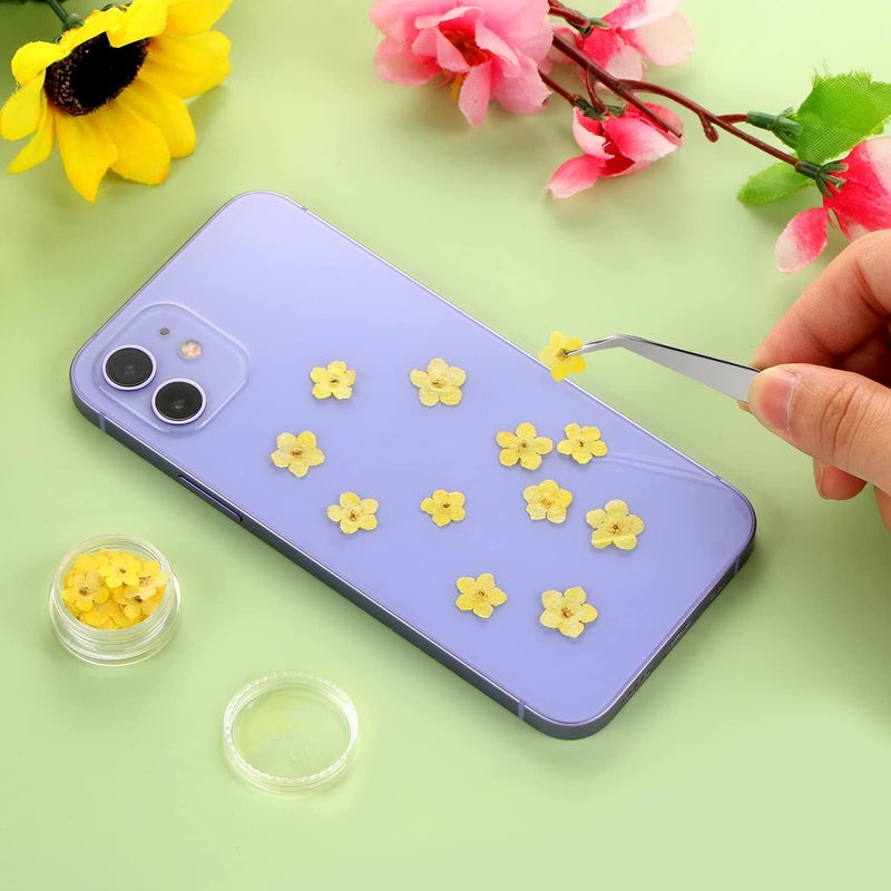 DREMISI Forget Me Not Dried Flowers, 50Pcs Don't Forget Me Dried Flowers Natural Dried Pressed Flowers with Forceps for Resin Jewelry Making Candle Nail Art Flower Ornaments Paper Making Supplies - Image 3